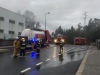 Incêndio Briteiros Santo Estevão (7)
